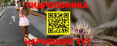 spice Анапа