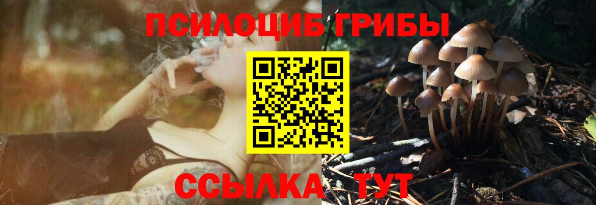 Галлюциногенные грибы MAGIC MUSHROOMS Грозный