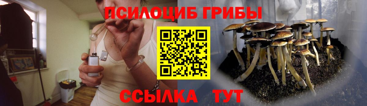 Грозный  Псилоцибиновые грибы прущие грибы  Псилоцибиновые грибы Cubensis  Вход с VPN 